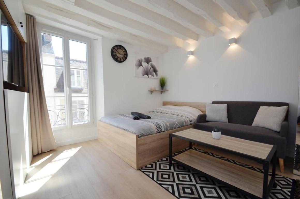 Le Petit France - Hyper Centre De Fontainebleau - Proche Insead 아파트 외부 사진